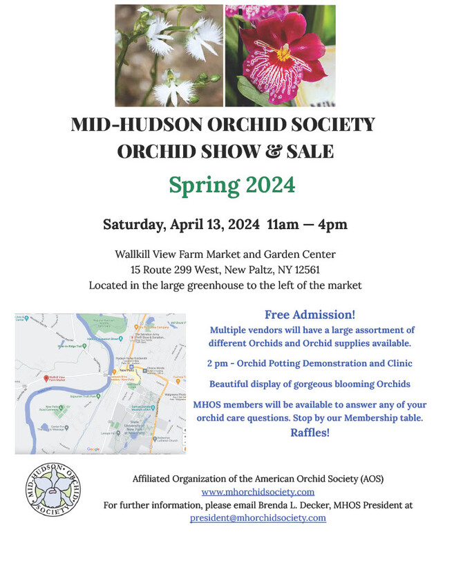 Mid Hudson Orchid Society Spring 2024 Orchid Show/Sale Wallkill